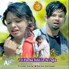 About Tui Hamke Bidai De Re Pagla Song